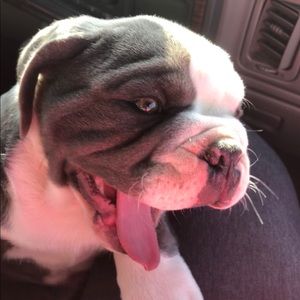 Meet your Posher, Myzaiyah